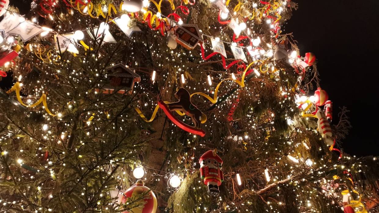 Иммунолог Жемчугов посоветовал вызывать Деда Мороза на дом