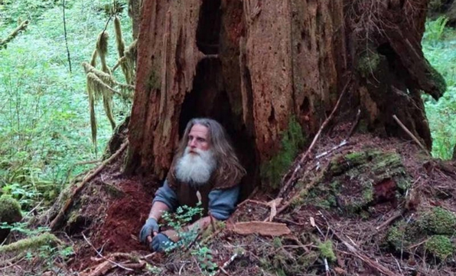 Парень в 20 лет ушел в лес и остался там жить отшельником на следующие 27 лет