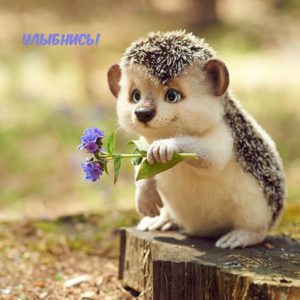 Новые прикольные картинки с надписями Новые прикольные картинки с надписями