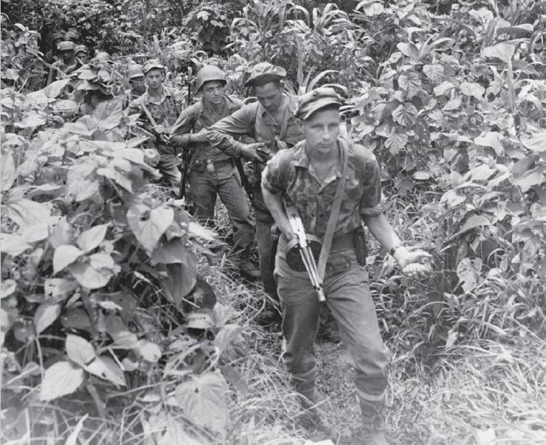 «Циркулярная пила» сержанта Гревича «Циркулярная пила» сержанта Гревича оружие