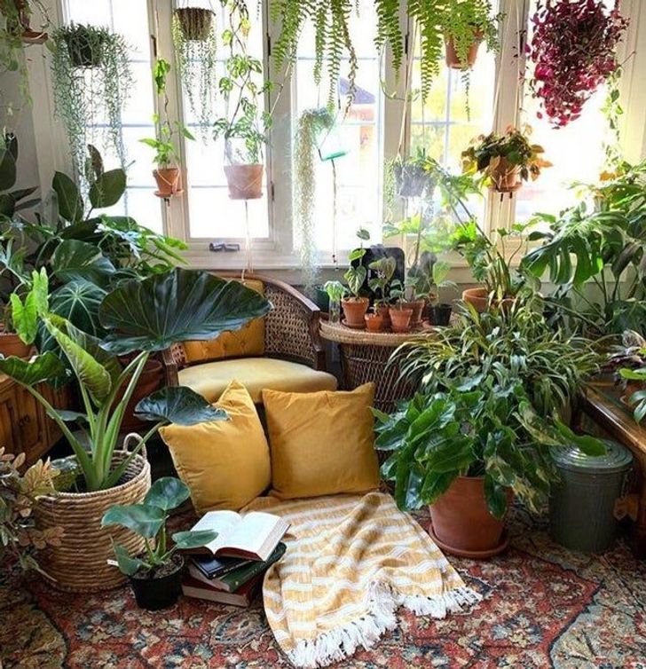 20 человек, которые знают, что выращивание цветов — настоящее приключение  идеи для дома,комнтантые растения,цветоводство