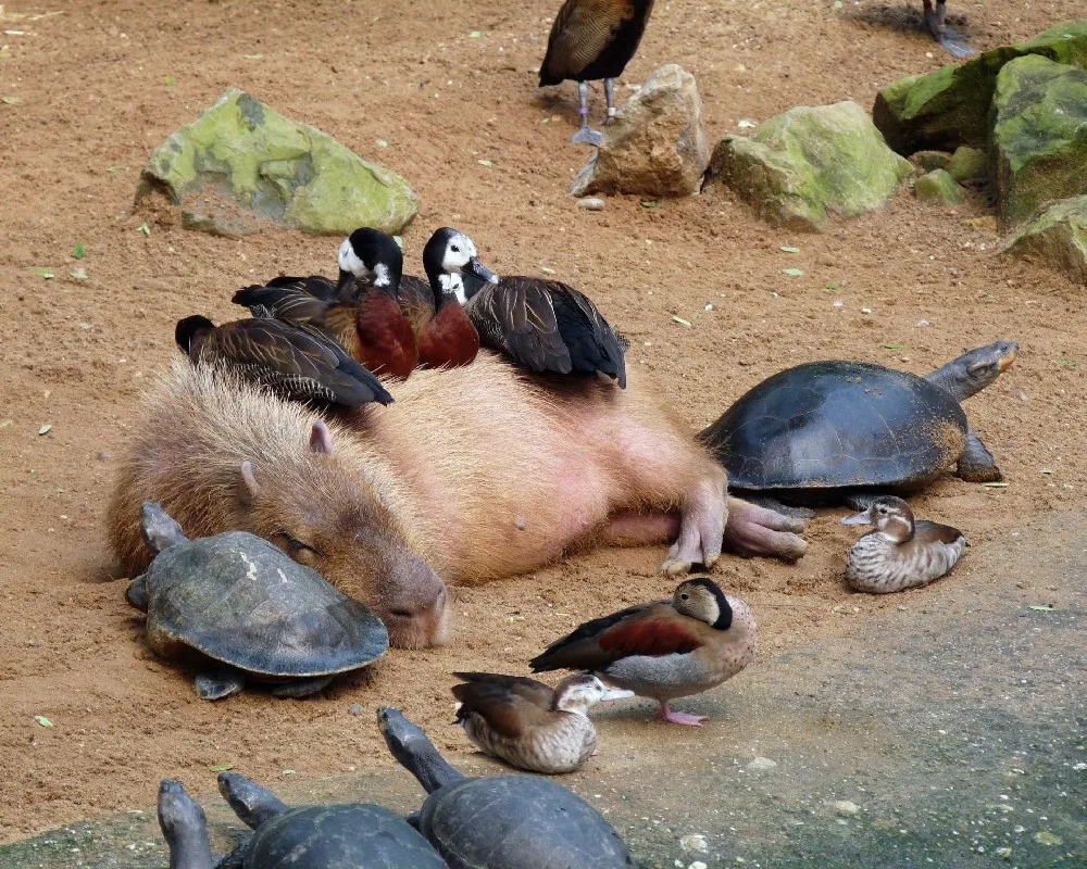 Любая вечеринка после 25 лет выглядит примерно так. 