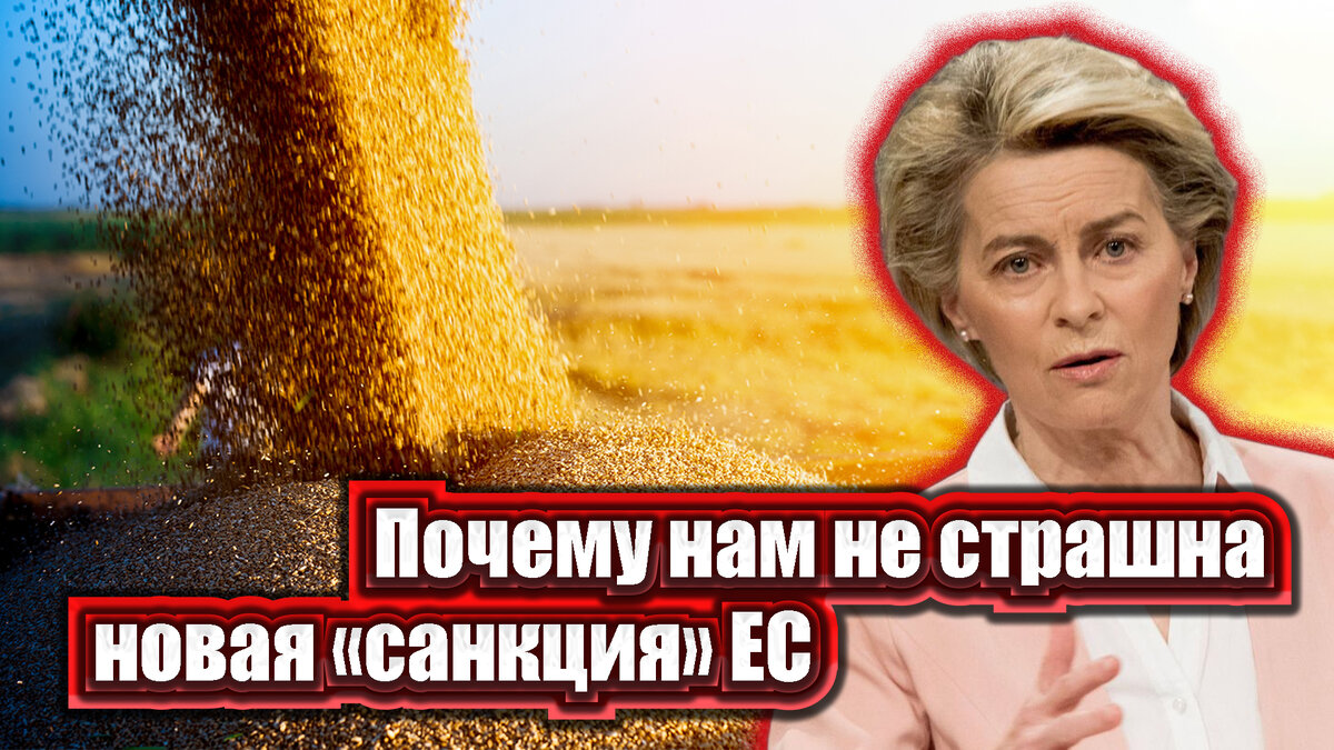 Мелкий укус. Европа повышает пошлину на зерно из России