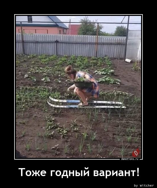 Демотиваторы дня: «Детское заблуждение — …» 