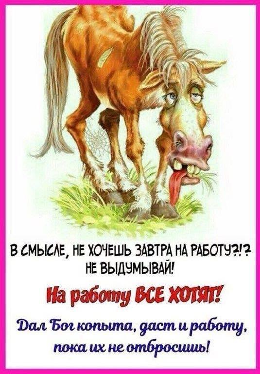 Вопрос на кулинарном форуме: - Какое вино больше подойдет для фуршета из тарталеток с черной икрой: бургундское или андалузское? Ответ: - Да чтобы Вы подавились!!! Вопрос на кулинарном форуме: - Какое вино больше подойдет для фуршета из тарталеток с черной икрой: бургундское или андалузское? Ответ: - Да чтобы Вы подавились!!! анекдоты,юмор