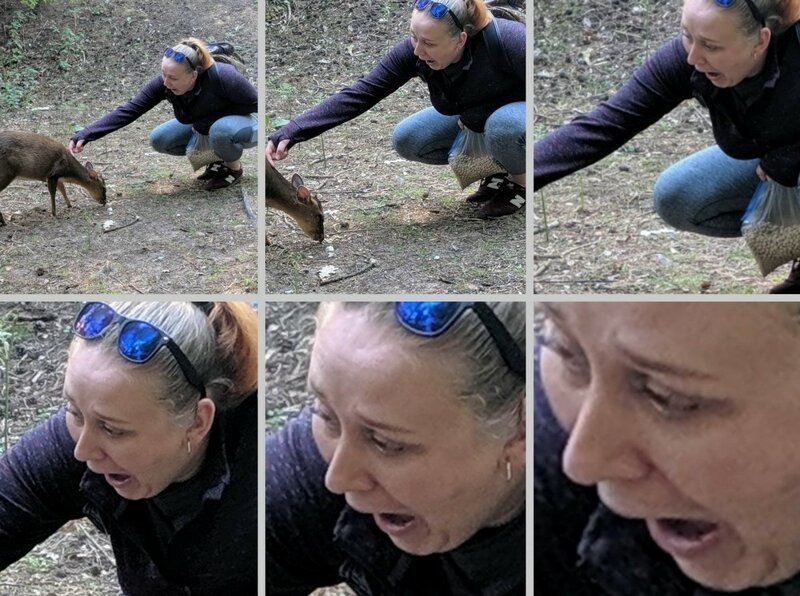 Добрый вечер! Добрый вечер! веселые картинки,юмор