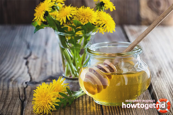 Как сделать мед из одуванчиков