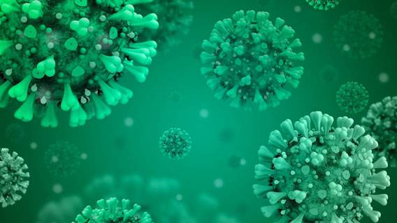 Согласно исследованию, британский штамм коронавируса значительно повышает риск смерти