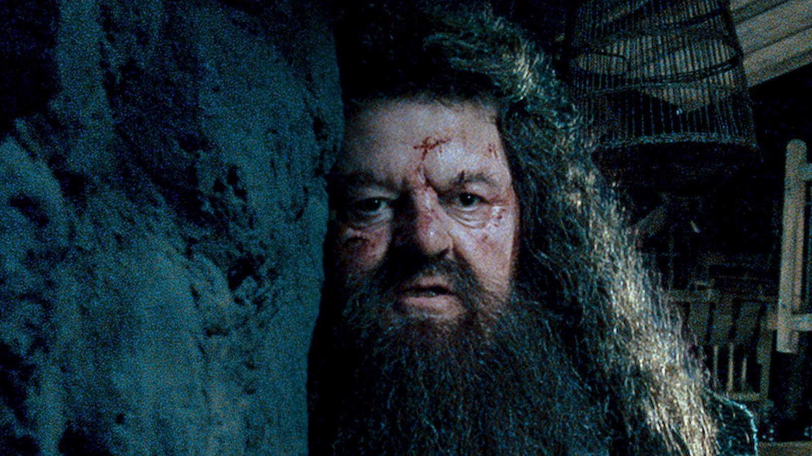 Дэниел Рэдклифф поделился воспоминаниями о покойном Робби Колтрейне