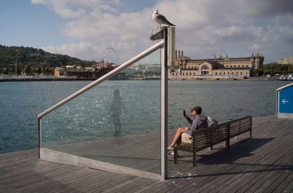 30 кадров, пойманных в самый подходящий момент