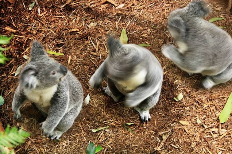 Забавно (40фоток)