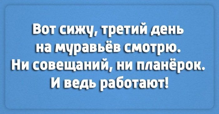 Порция лучших шуток о работе! картинки,юмор