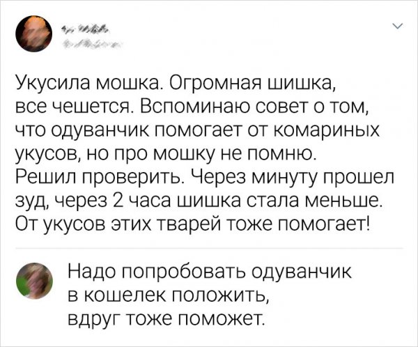 Подборка забавных комментариев Подборка забавных комментариев