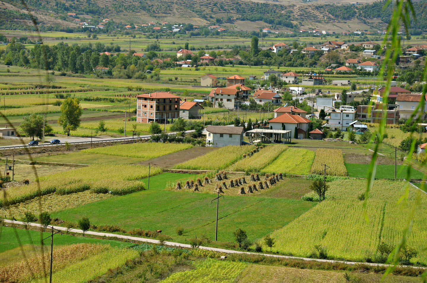 корча албания