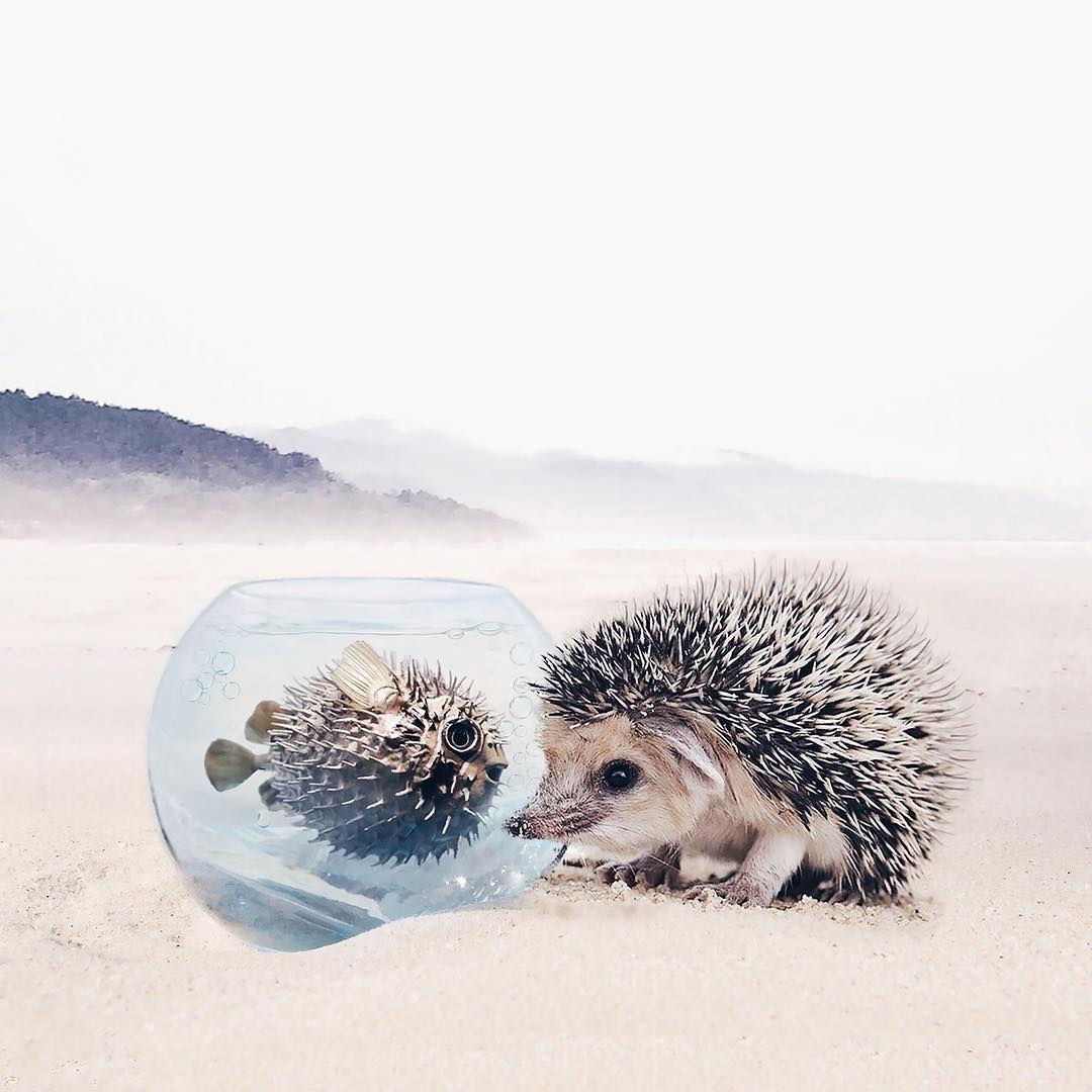 Луиза Азеведо и ее сказки Луиза Азеведо и ее сказки