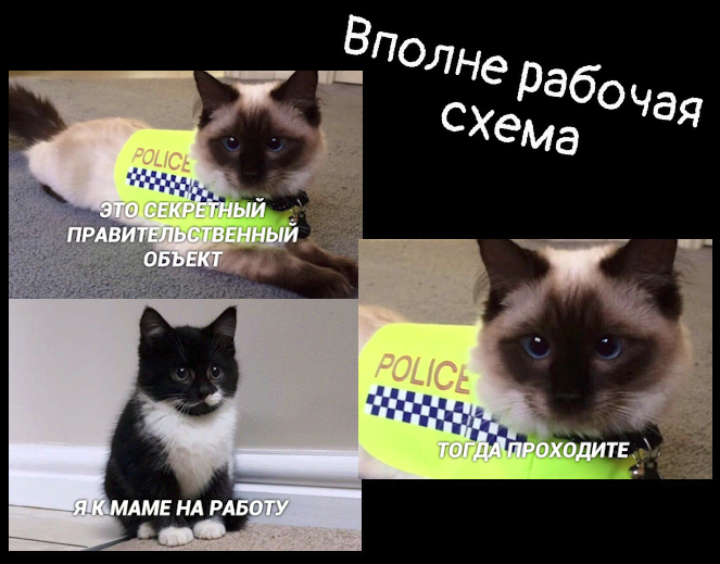 изображение: Вполне рабочая схема #Котоматрицы