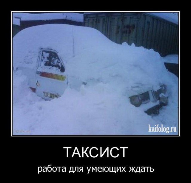 Веселые картинки для зарядки позитивчиком с утра Веселые картинки для зарядки позитивчиком с утра