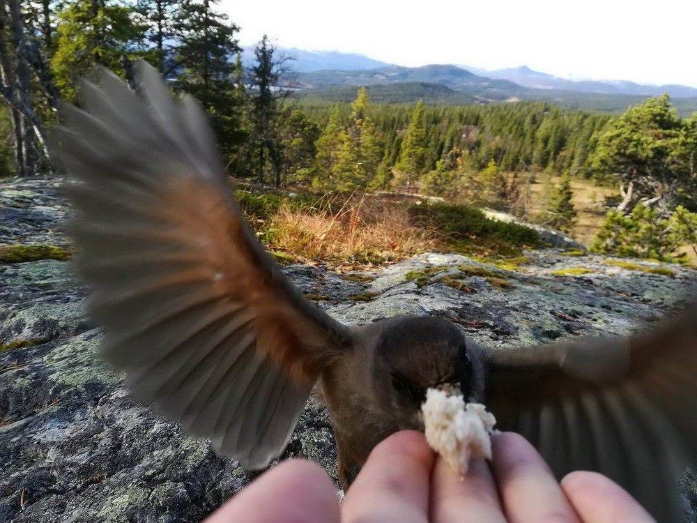 Позитивные фотографии, которые говорят больше, чем слова! 