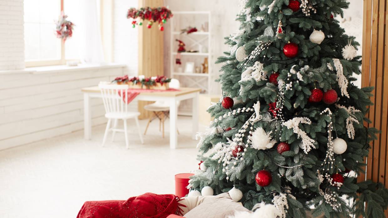 Искусственная или натуральная: экозащитница рассказала, какая новогодняя елка экологичнее