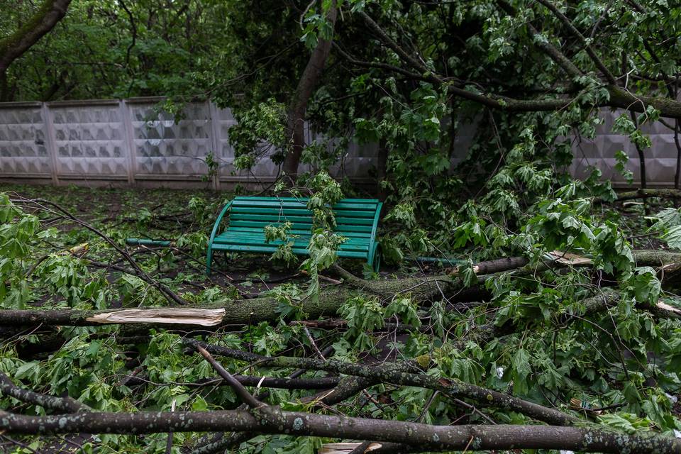 Рунет потребовал «крови» руководства МЧС Москвы