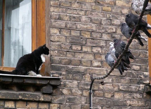 Юморные картинки 