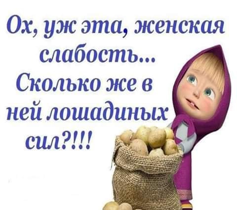 Смешные шутки для хорошего настроения Смешные шутки для хорошего настроения