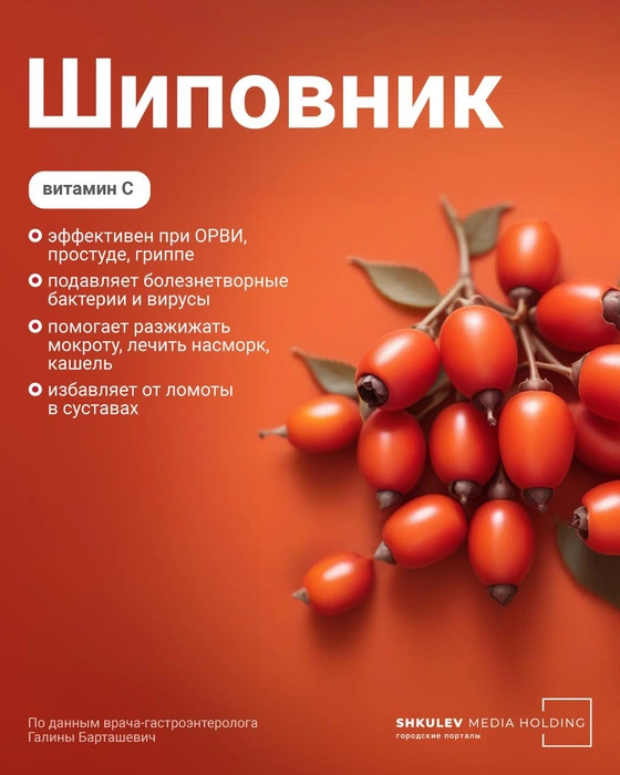 6 самых полезных ягод этой осени — с ними вам никакие витамины не понадобятся ягоды, Авдошина, Городские, говорит, заболеваний, напиток, полезна, врачгастроэнтеролог, иммунитет, может, больше, витамина, можно, профилактики, Кроме, богата, Елена, лечения, диетолог, содержанию