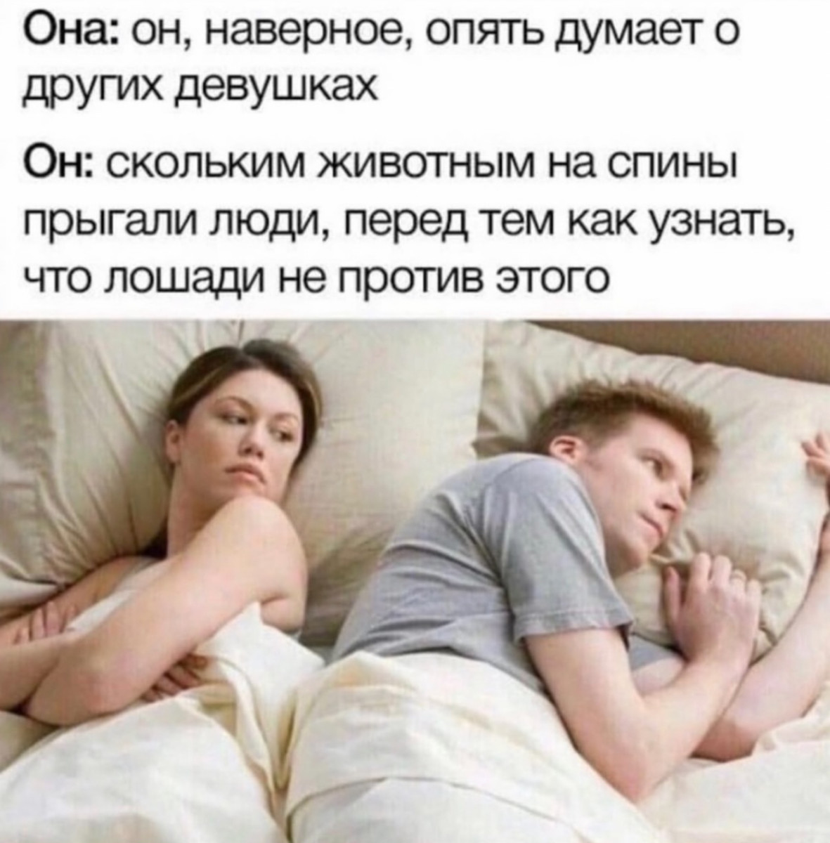 Именно чайники развивают самую кипучую деятельность  