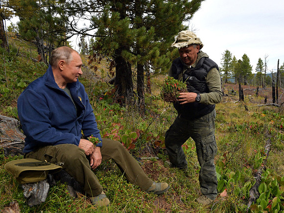 Смогут ли военные перехватить знамя путинизма?