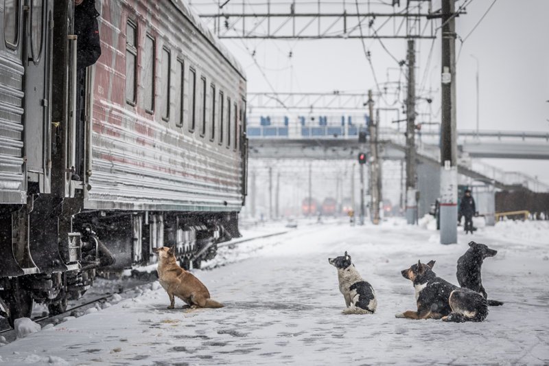 Скукота. ПОЕЗДАтая подборка Скукота. ПОЕЗДАтая подборка поездка