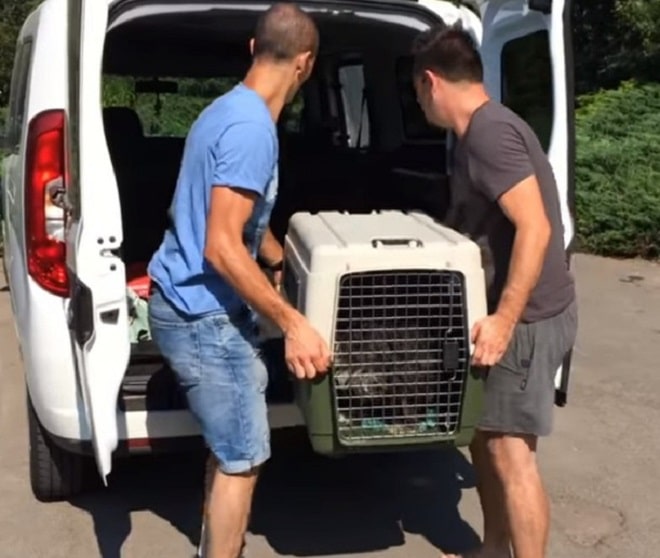 Люди с переноской