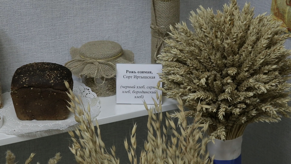 солянка.02_47_35_08.неподвижное изображение082.jpg