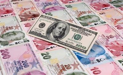 FILE PHOTO: A photo illustration taken in Istanbul shows a U.S. 100 dollar banknote against Turkish lira banknotes of various denominations January 7, 2014. REUTERS/Murad Sezer/File Photo