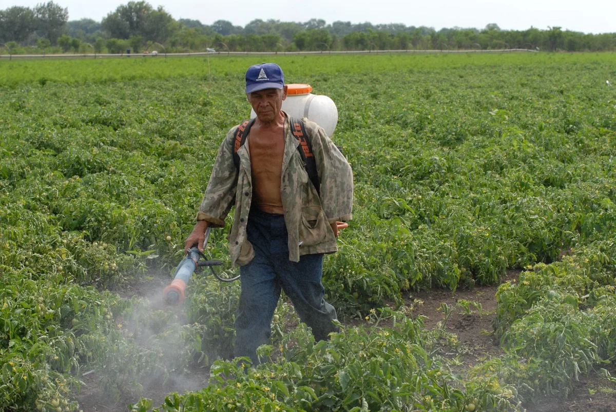 В РФ могут ввести уголовное наказание за незаконное применение пестицидов