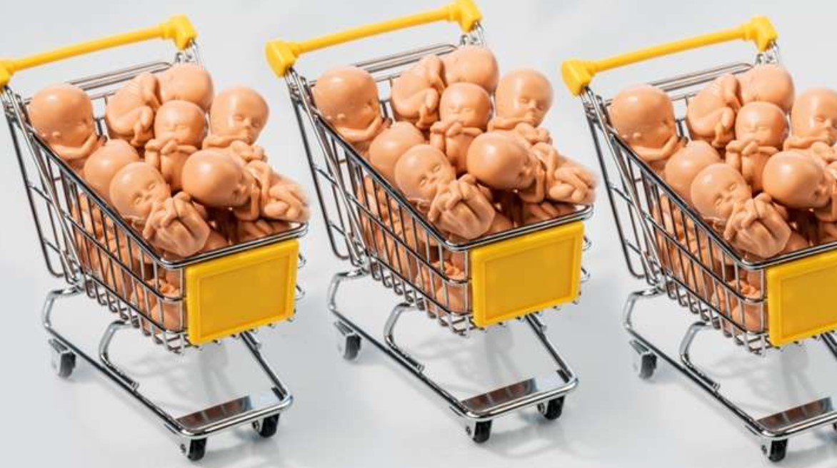 Живой товар из Украины… Живой товар из Украины… украина