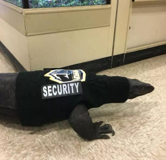 Фотоподборка четверга 