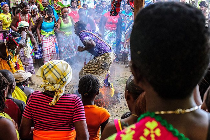 Край чудес: Гвиана, Гайана, Суринам мир,самостоятельные путешествия,суринам