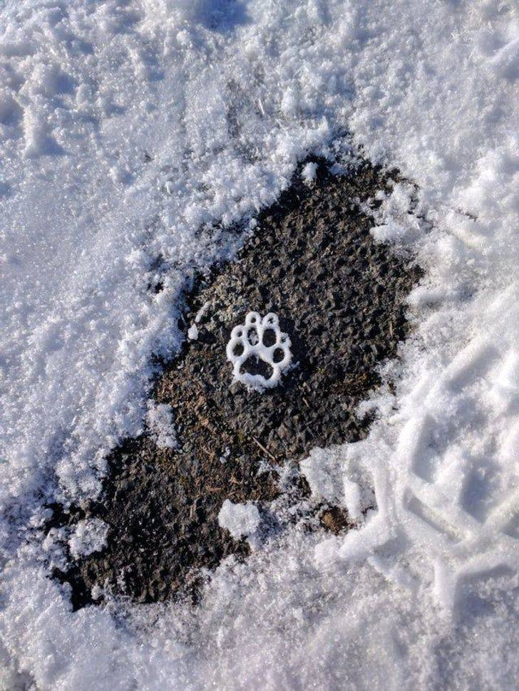 Приятные снимки, на которых реальность оказалась круче фотошопа