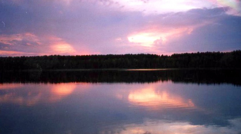 Озеро Линево Омская. Пять озер Муромцево. Муромцево Омская область озера. Пять озёр Данилово. Озеры омской области