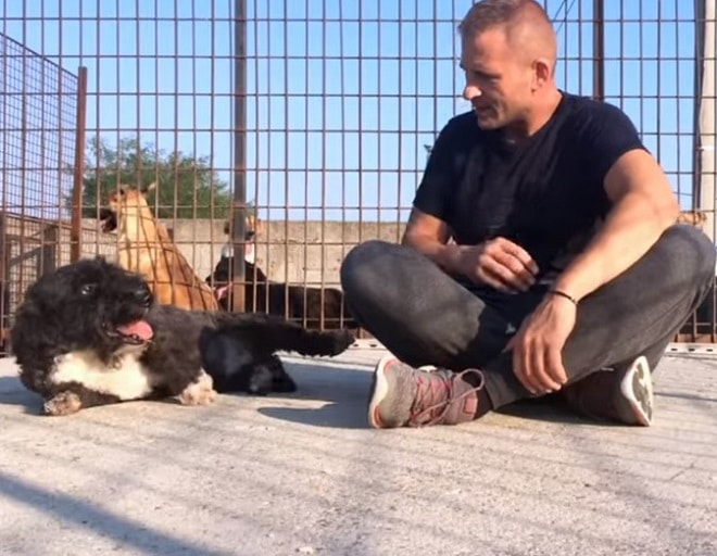 Мужчина и пес