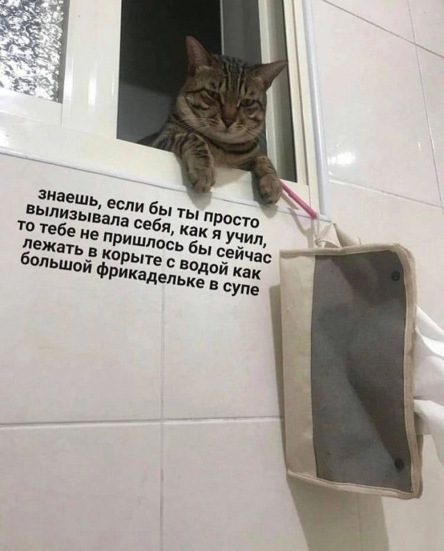 Именно чайники развивают самую кипучую деятельность  