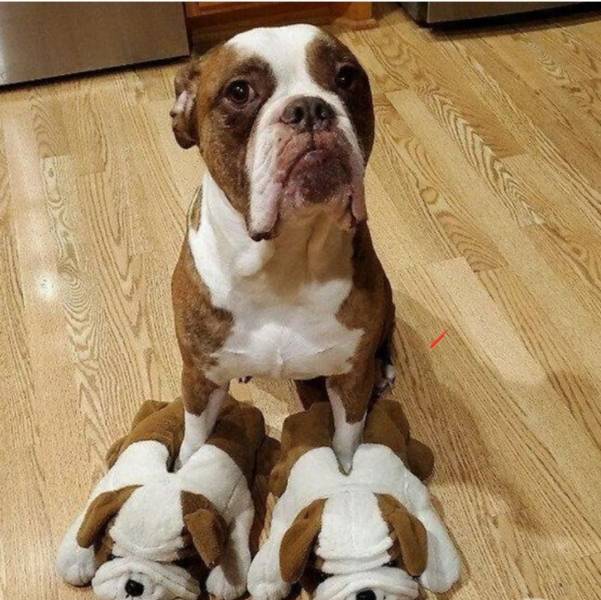 Подборка прикольных картинок Подборка прикольных картинок приколы,смешные картинки,юмор