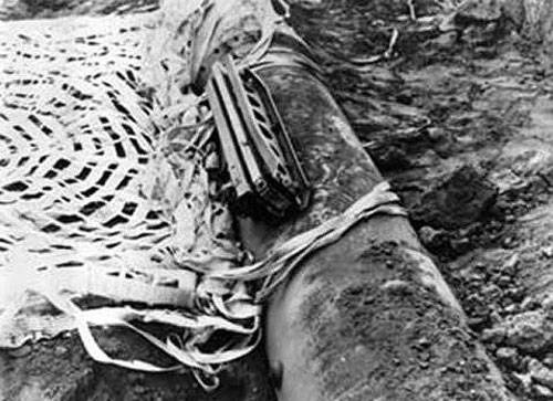 «Хромовый купол» чуть не накрыл всю Европу «Хромовый купол» чуть не накрыл всю Европу история