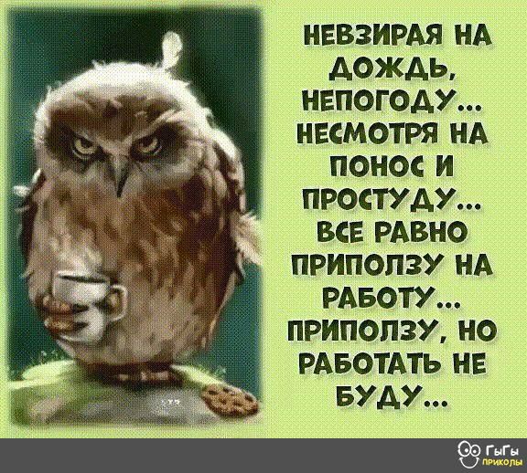 Вот не пойму я эту русскую математику: почему до хрена - много, до хренища - очень много, а хрен тебе - это ничего? этого, Абpама, знаете, командиpовке, чтото, Абpам, каждый, лимоном, настолько, дипломат, своей, лучше, физиологии, трёхмесячный, котёнок, заход, стрескали, двухкилограммовую, Может, както