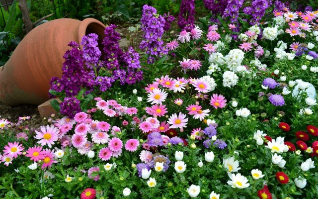 Как сделать цветочный ручей: пошаговая инструкция дача,ландшафтный дизайн,сад и огород