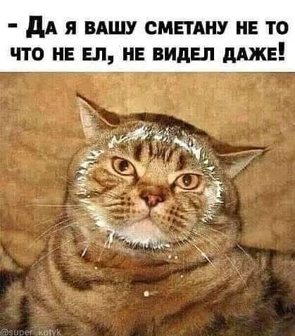 Искромётная подборка юмора для отличного времяпровождения 
