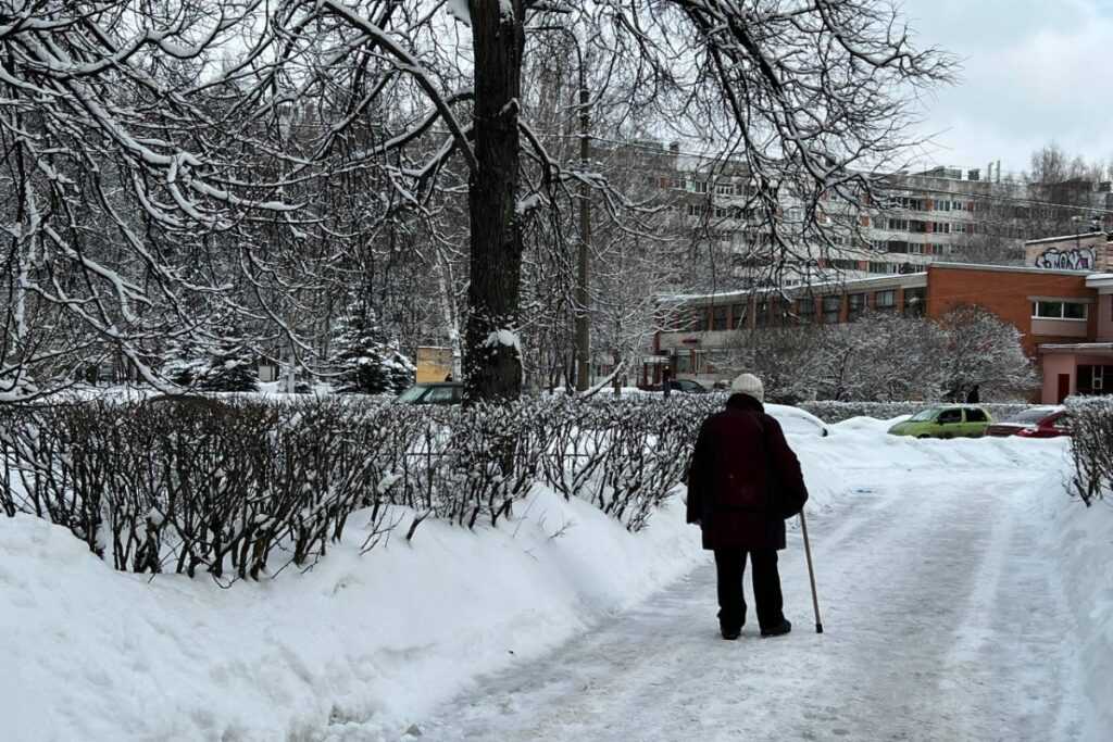 В России проанализируют доходы пенсионеров