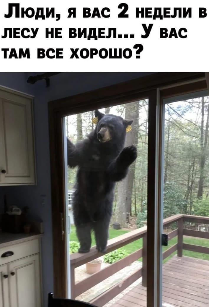 Заряжаемся свеженьким юмором! Большая подборка смешного, веселого и приятного! Заряжаемся свеженьким юмором! Большая подборка смешного, веселого и приятного!