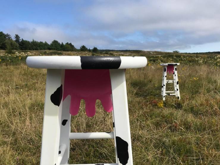 Подборка прикольных картинок  приколы,смешные картинки,юмор