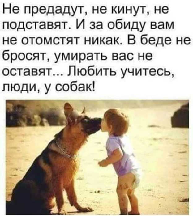 Братики наши меньшие...